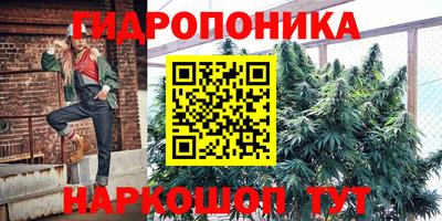 прущие крисы Чапаевск